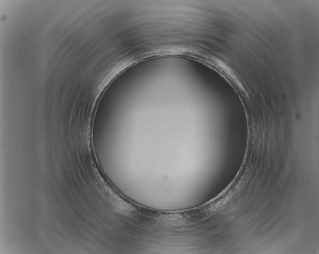 X0000065241186200603031731