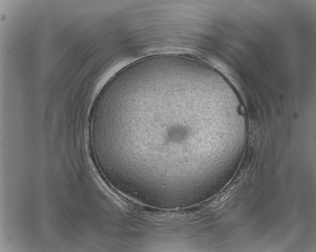 X0000065241187200603031731