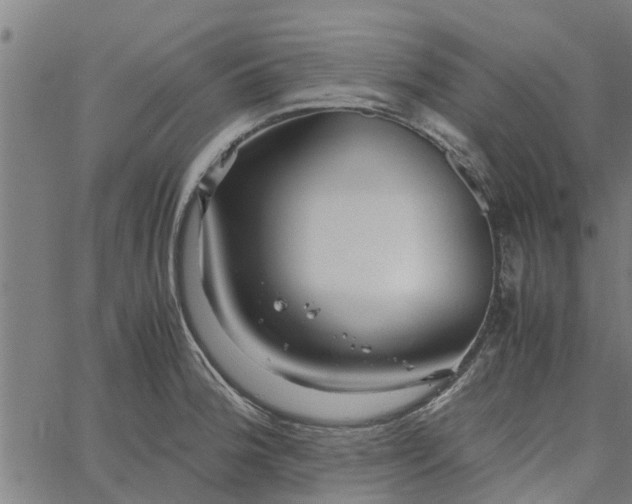 X0000065241188200603031731