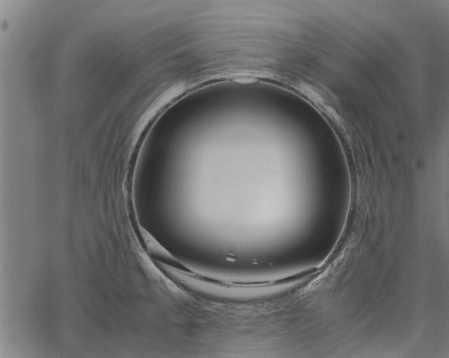 X0000065241189200603031731