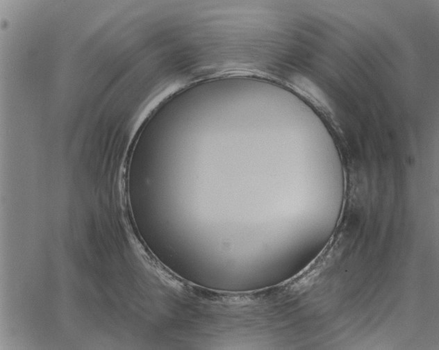 X0000065241190200603031731