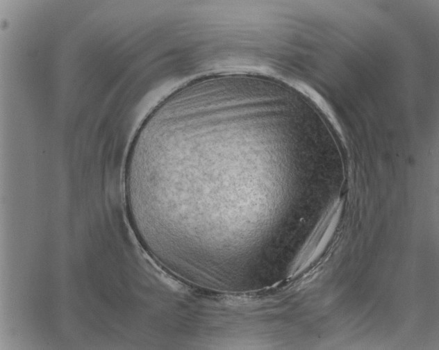 X0000065241191200603031731