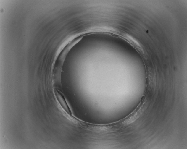 X0000065241192200603031731