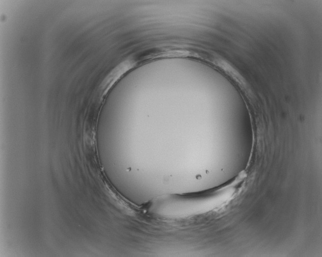 X0000065241193200603031730