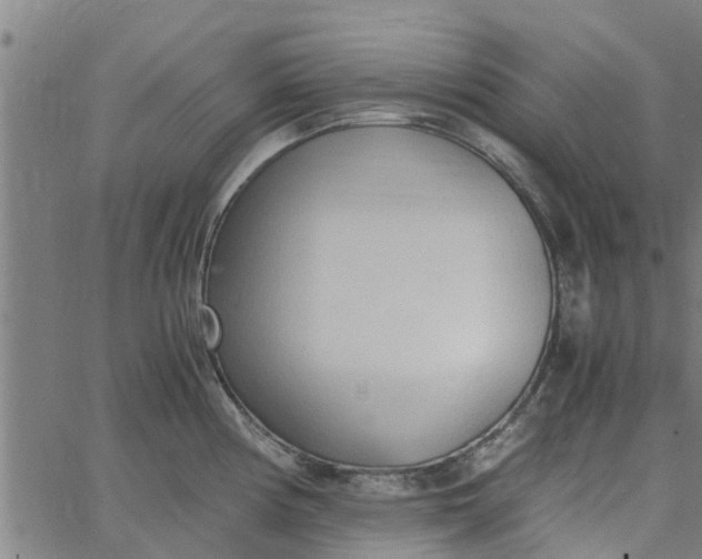 X0000065241194200603031730