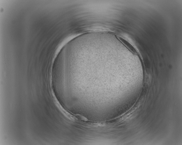 X0000065241195200603031730