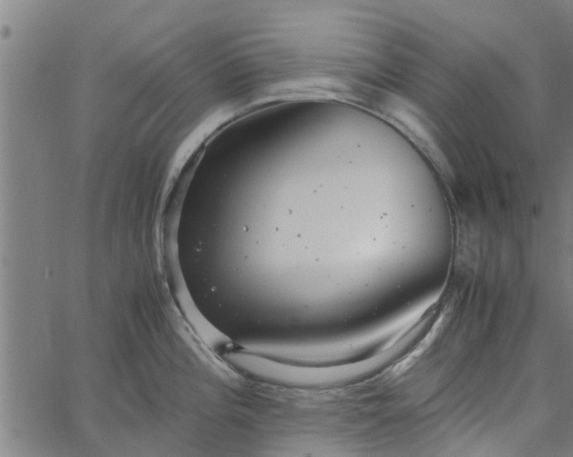 X0000065241196200603031730