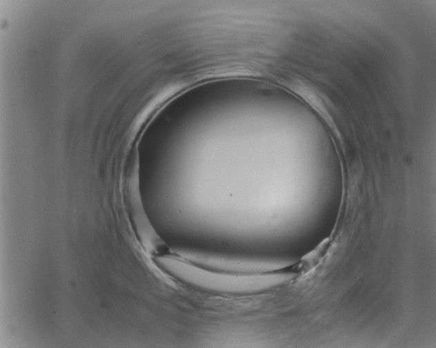 X0000065241197200603031730