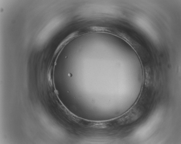 X0000065241198200603031730