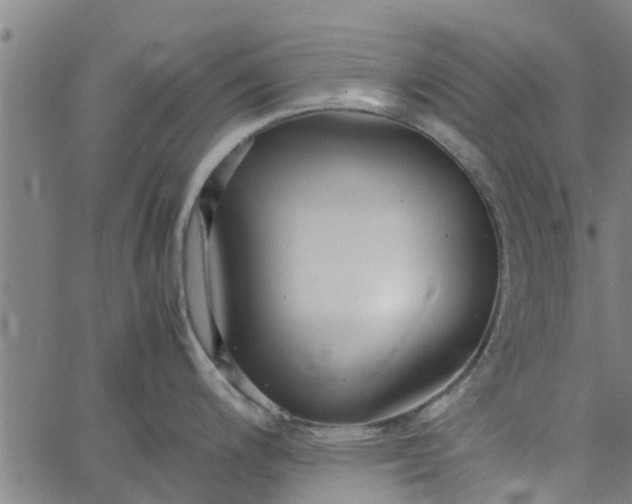 X0000065241200200603031730