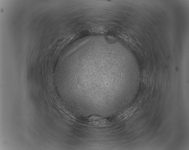 X0000065241201200603031730