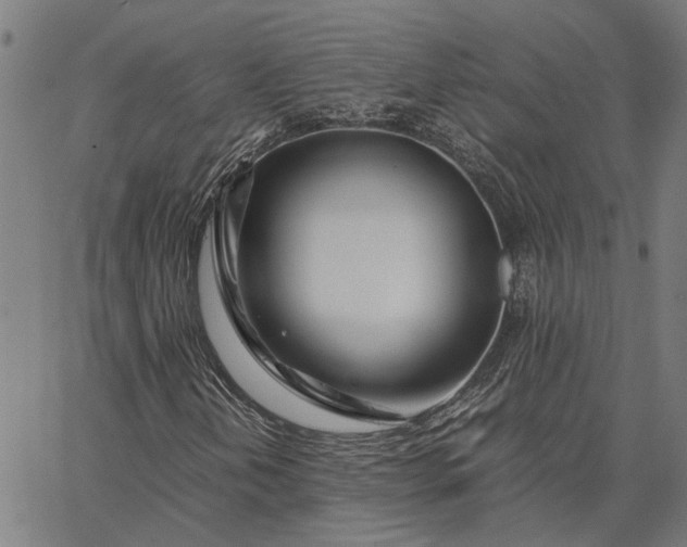 X0000065241202200603031730