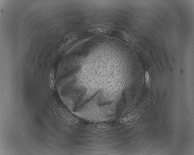 X0000065241203200603031730