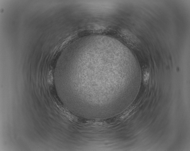 X0000065241204200603031730