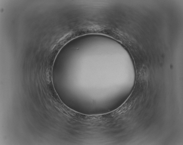 X0000065241205200603031730