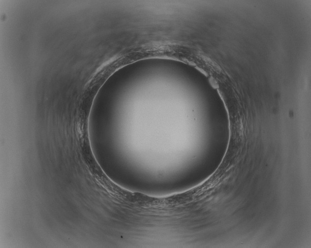 X0000065241206200603031730