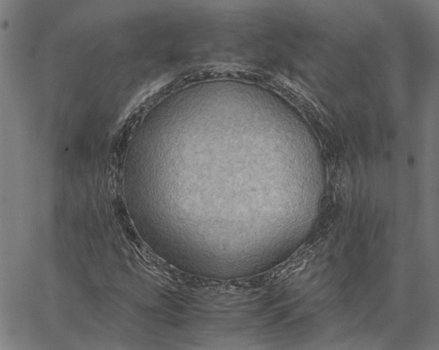 X0000065241207200603031730