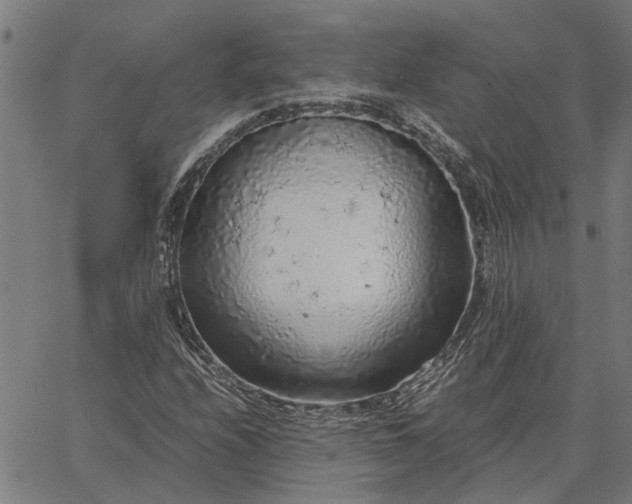 X0000065241208200603031730