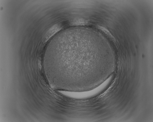 X0000065241209200603031730