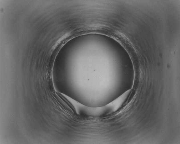 X0000065241210200603031730