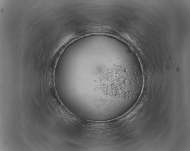 X0000065241211200603031730