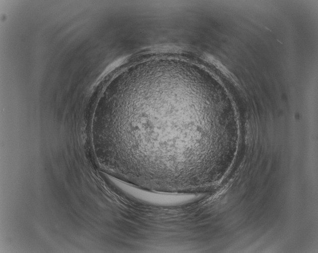 X0000065241213200603031730