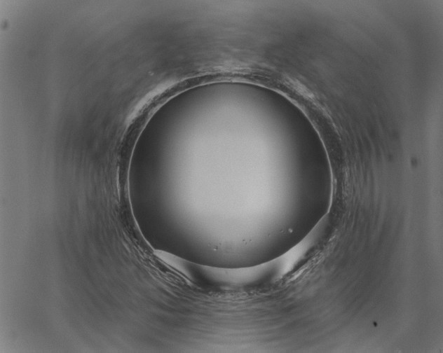 X0000065241214200603031730