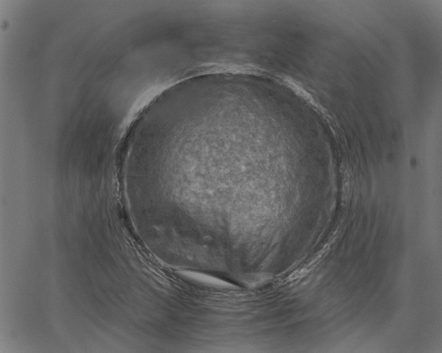 X0000065241215200603031730