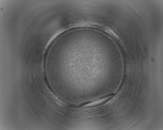 X0000065241216200603031730