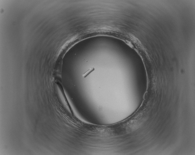 X0000065241218200603031730