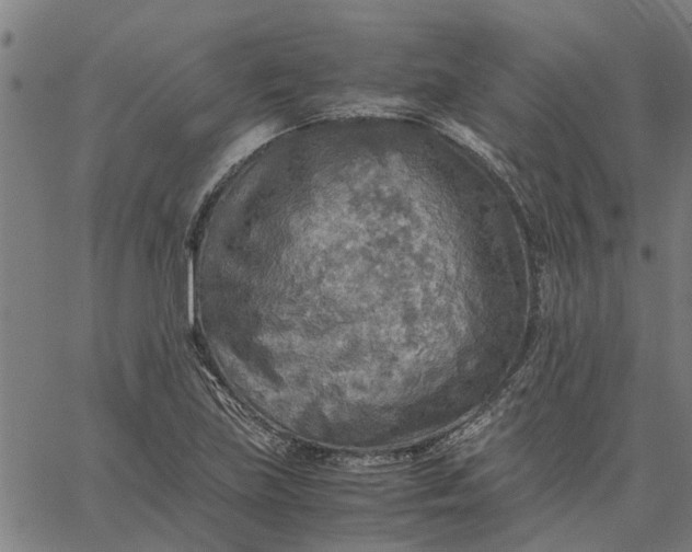 X0000065241219200603031730