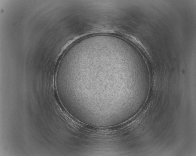 X0000065241220200603031730