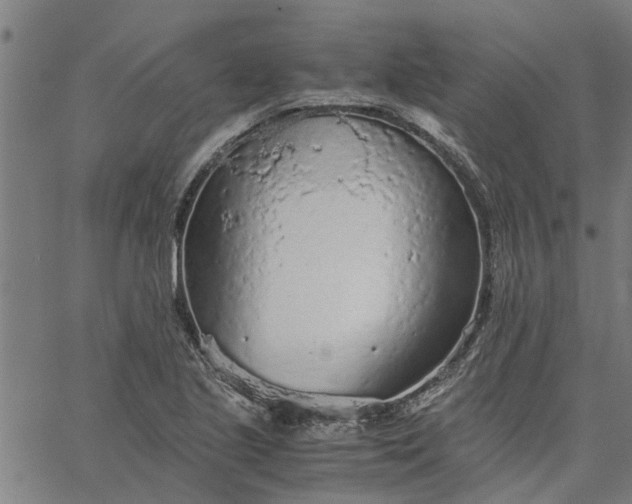 X0000065241221200603031730