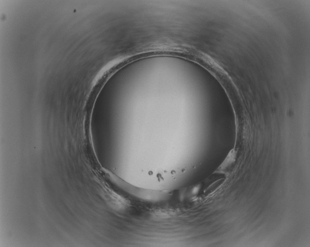 X0000065241222200603031730