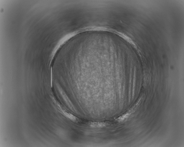 X0000065241223200603031730