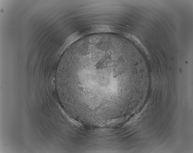 X0000065241225200603031730