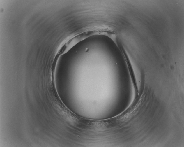 X0000065241226200603031730