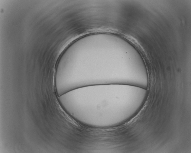 X0000065241228200603031730