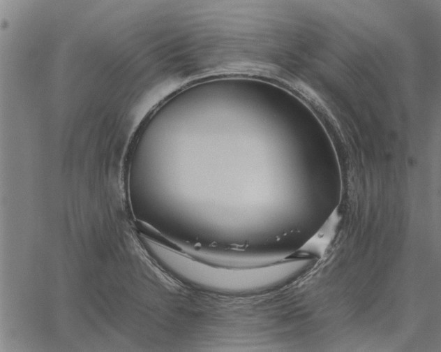 X0000065241230200603031730