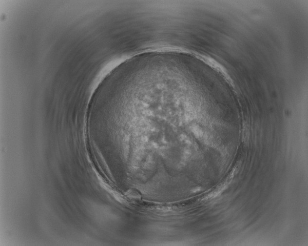 X0000065241231200603031730