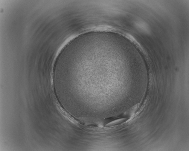 X0000065241232200603031730