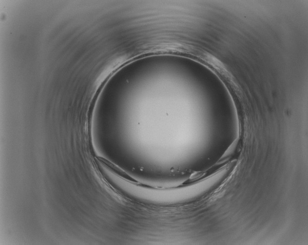 X0000065241234200603031730