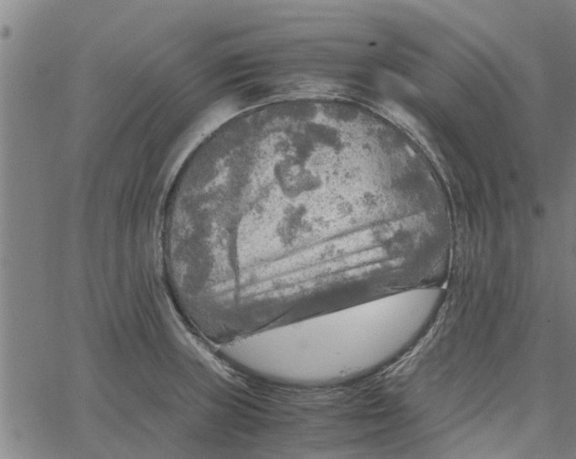 X0000065241235200603031730