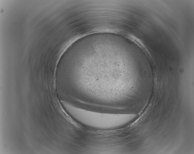 X0000065241236200603031730