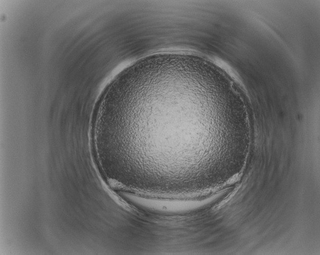 X0000065241237200603031730