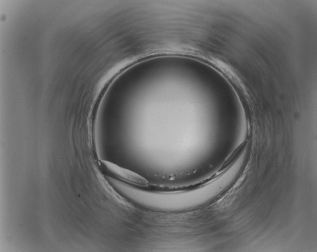 X0000065241238200603031730