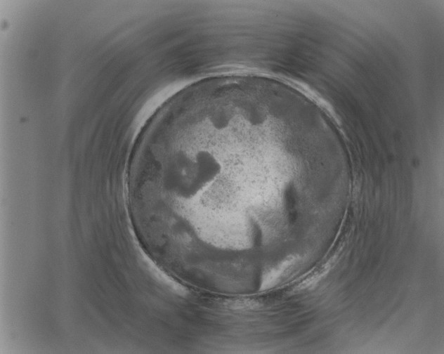 X0000065241239200603031730