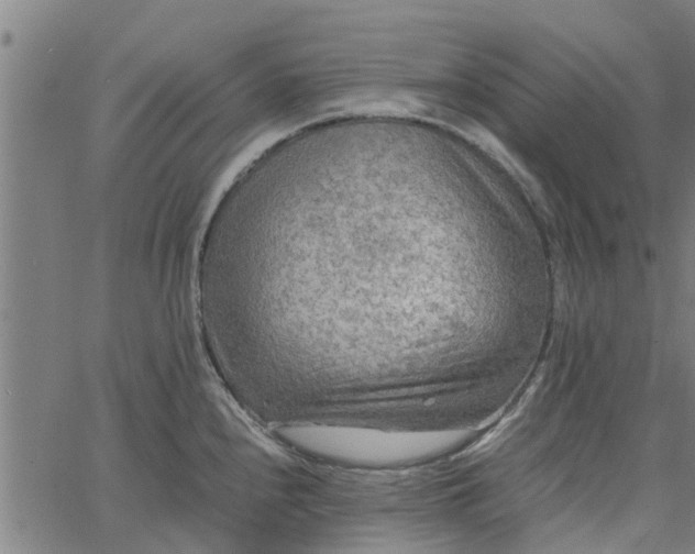 X0000065241240200603031730