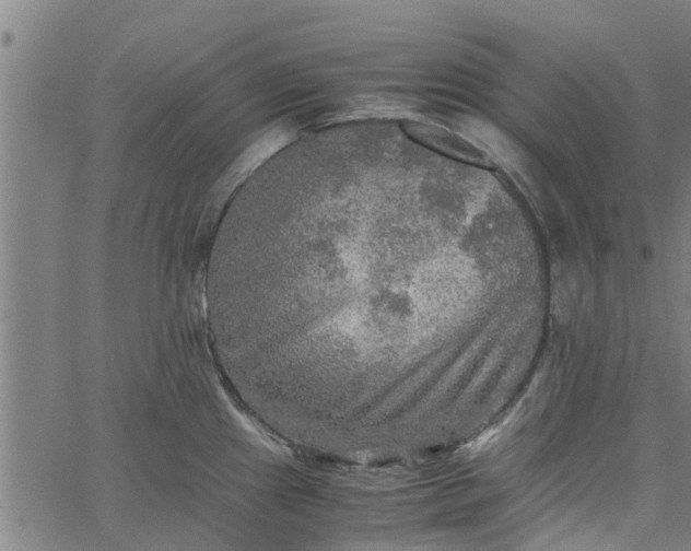 X0000065241241200603031730