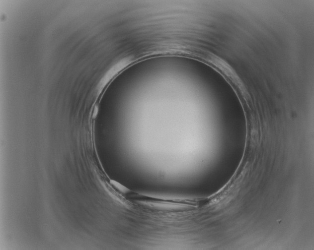 X0000065241242200603031730